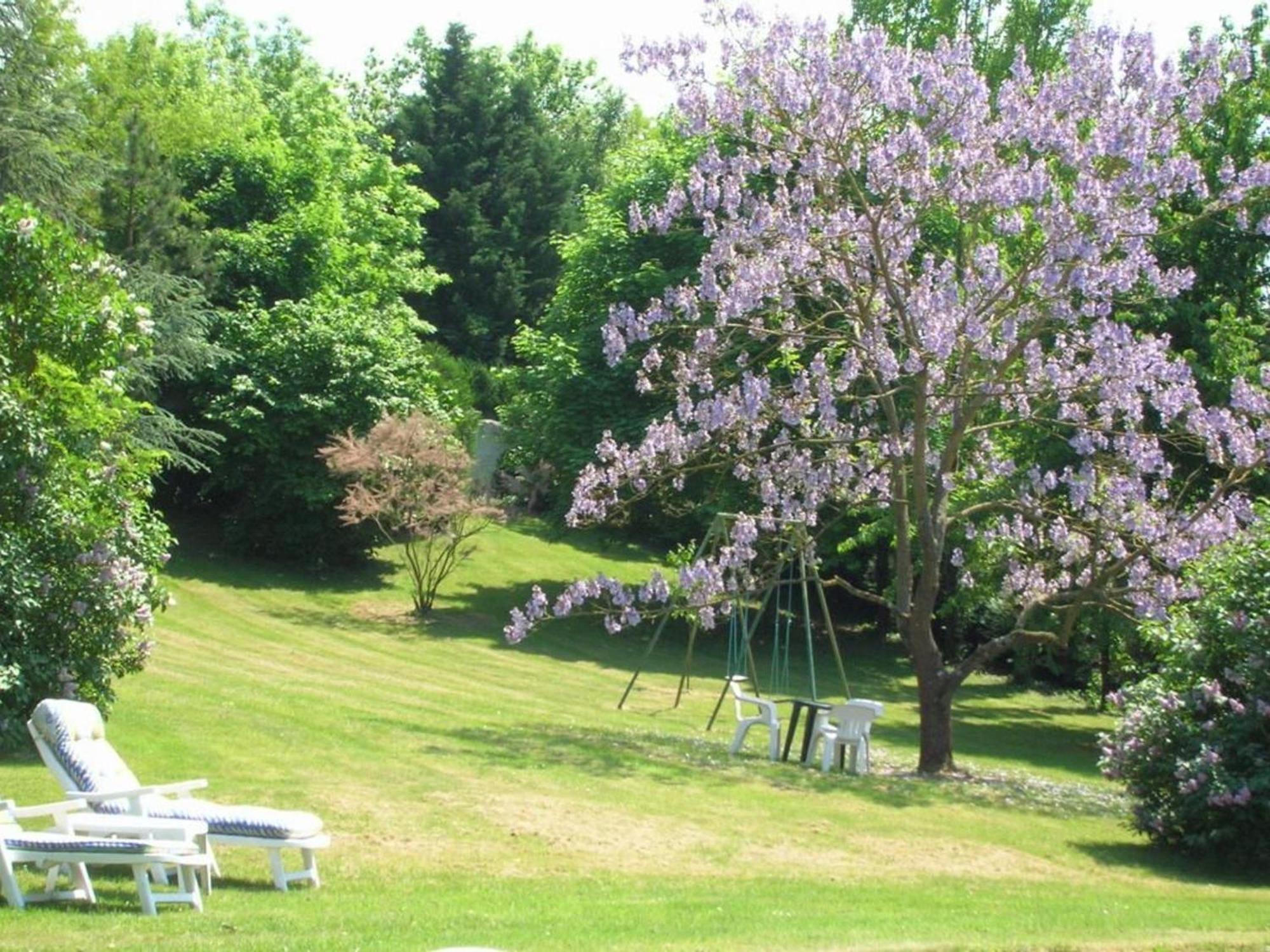 Tavers Charme Au Coeur Des Chateaux De La Loire Avec Wifi - Fr-1-590-305 المظهر الخارجي الصورة