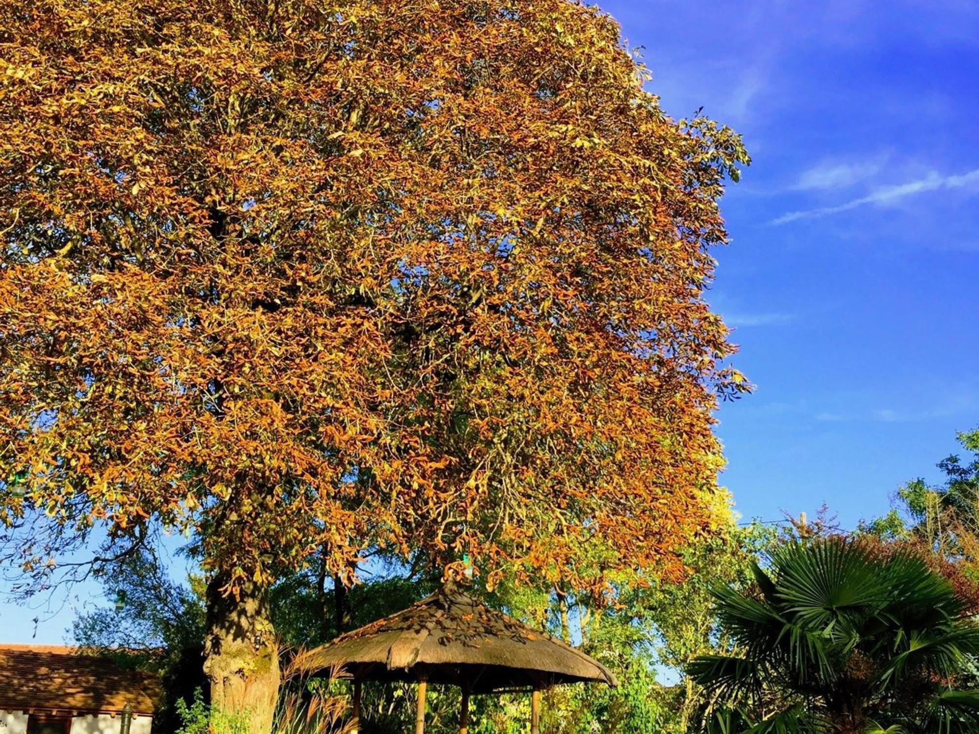 Tavers Charme Au Coeur Des Chateaux De La Loire Avec Wifi - Fr-1-590-305 المظهر الخارجي الصورة